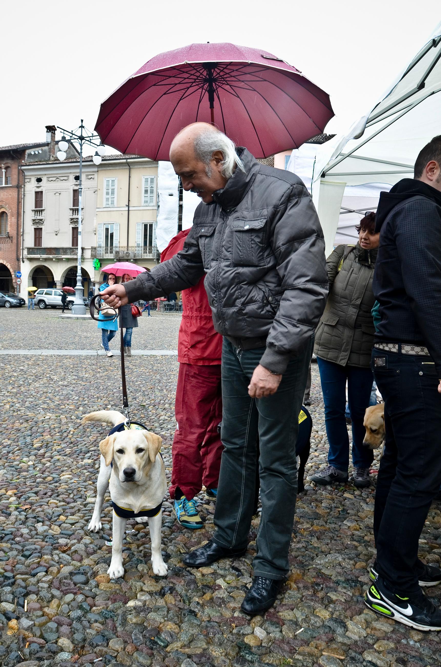 Hai Il Cane Guida Allora Qui Non Entri LUnione Ciechi Lancia Un