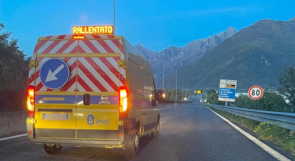 Cane Scappa Sulla Statale Paura A Colico La Padrona Lo Rincorre