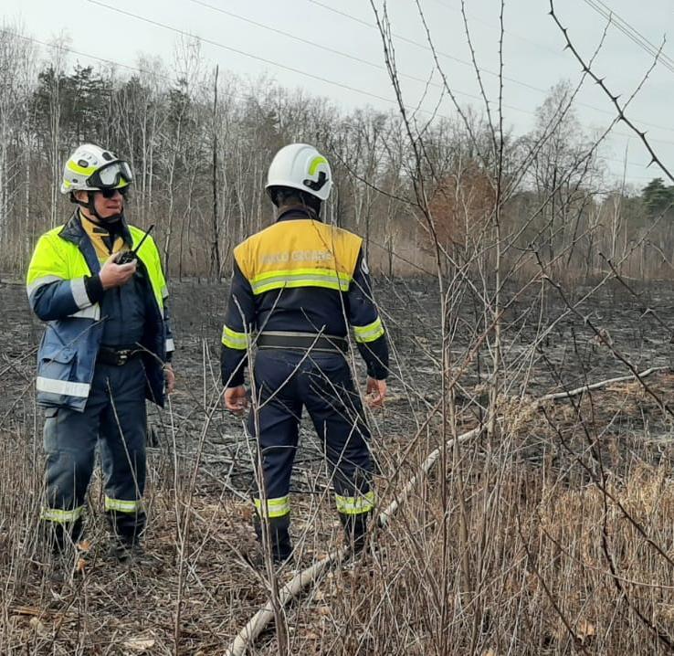 Vasto Incendio Brucia 9 Ettari Ignote Le Cause