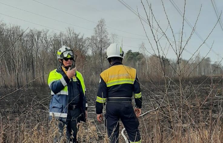 Incendio Al Parco Delle Groane Tre Giorni Di Lotta Contro Il Rogo