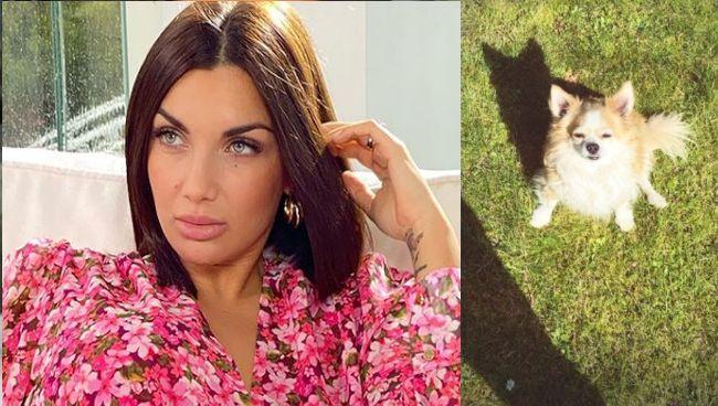 Addio Al Cane Di Elettra Lamborghini Si Sfoga Sui Social Non Ho Pace