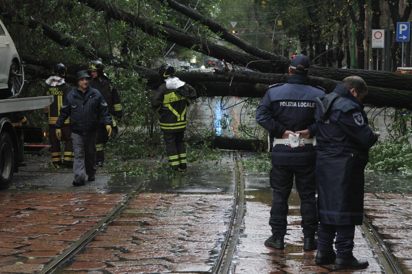 Paura In Zona Centrale Crolla Un Grosso Albero Deviate Linee Di Bus E