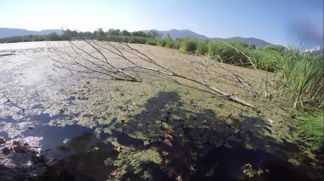 Torbiere Del Sebino Lo Spettacolo Della Riserva Naturale Nata Dalla