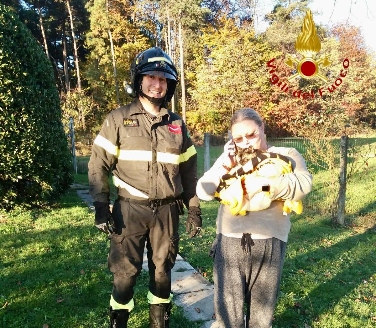 Cant Incendio In Abitazione Vigili Del Fuoco Salvano Il Gatto