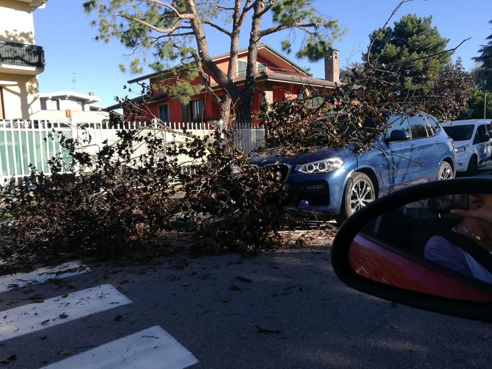 Nerviano Albero Cade Su Un Auto Ferma Al Semaforo