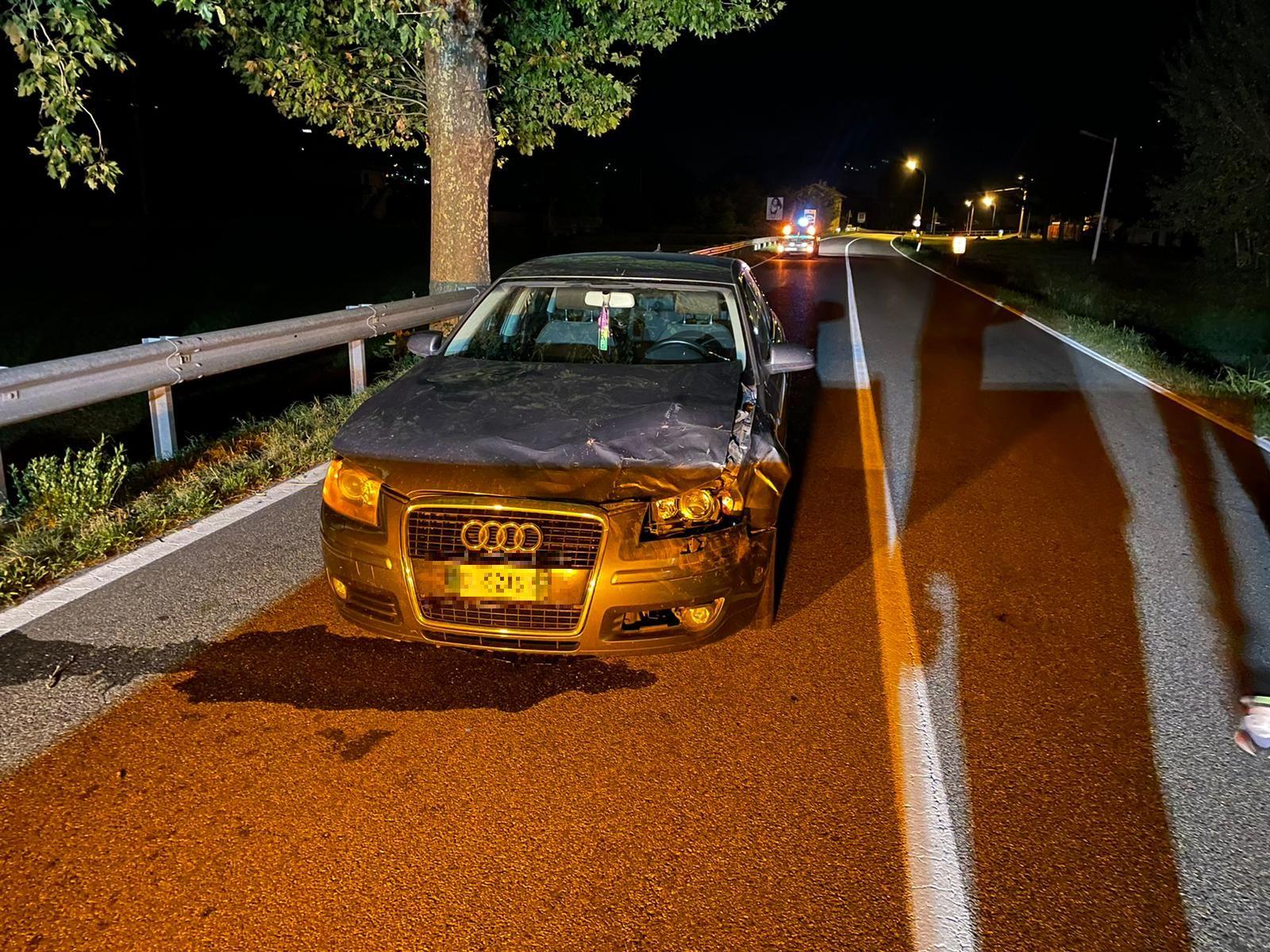 Cerva Travolta E Uccisa Da Unauto In Tanti Pensano Alla Star Bambi