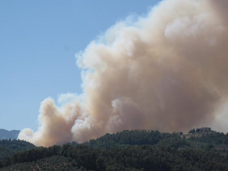 Incendio A Civo Colonna Di Fumo Visibile Fino A Sondrio