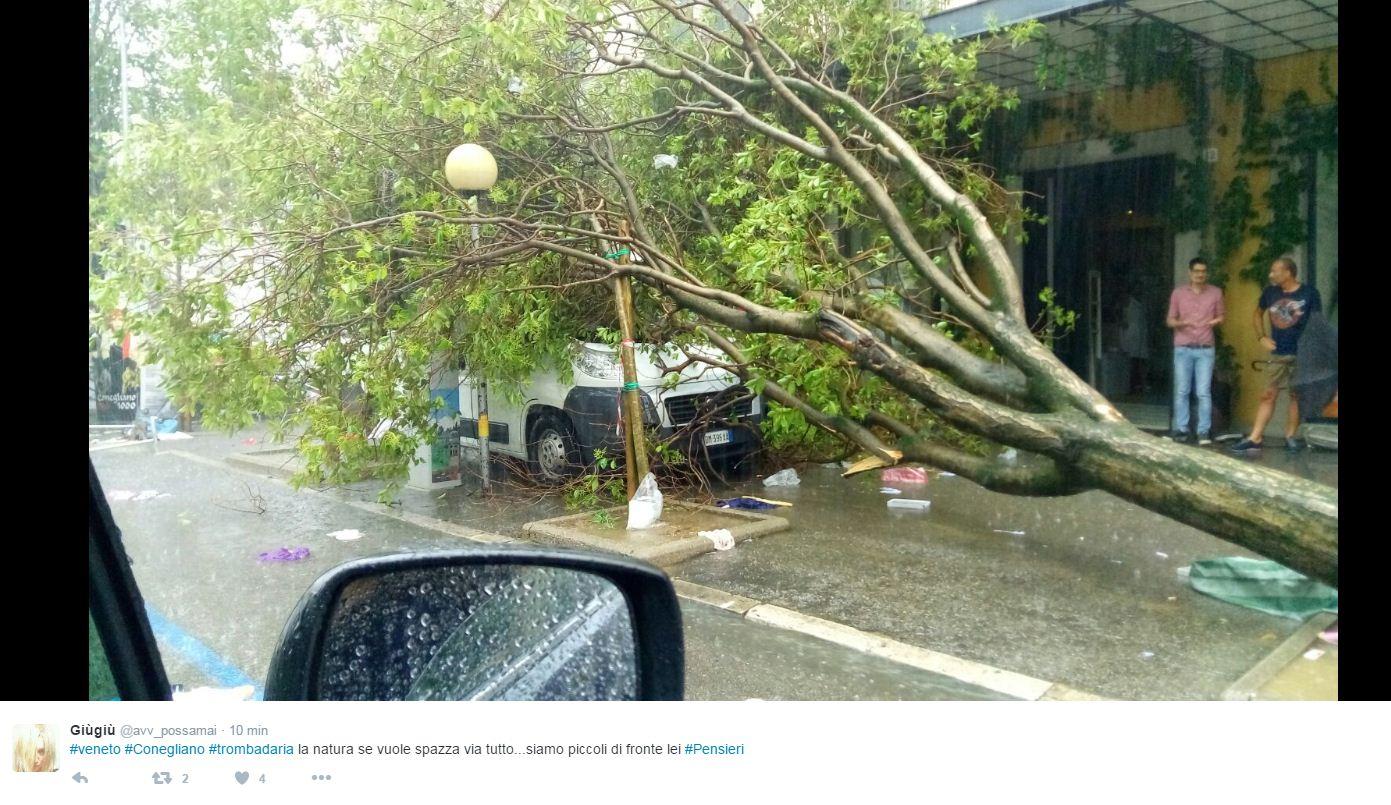 Tromba D Aria Nel Mantovano Alberi Sradicati E Blackout Danni Ingenti