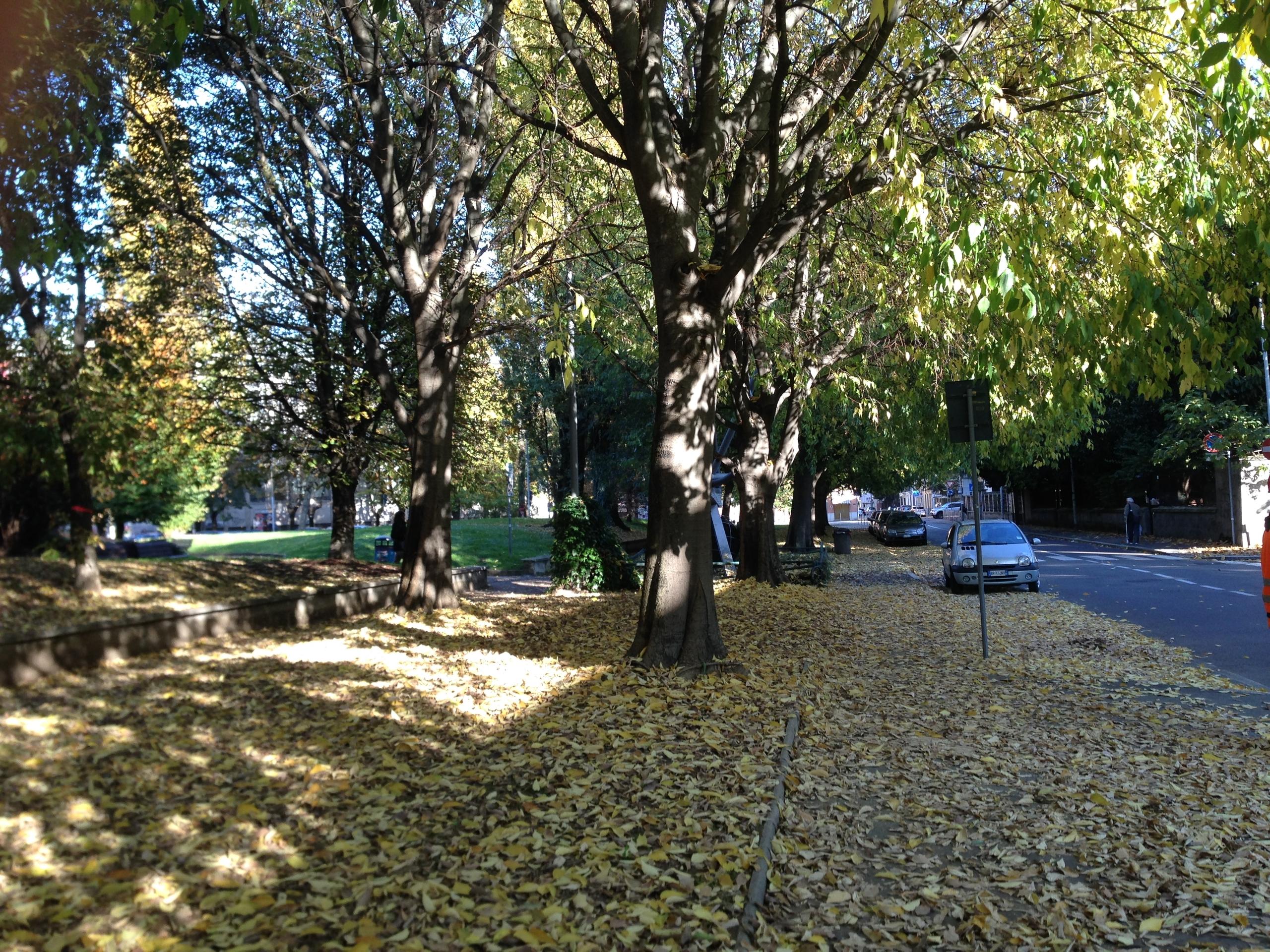 Legnano Invasa Dalle Foglie Camminare Sul Marciapiede Diventa Rischioso