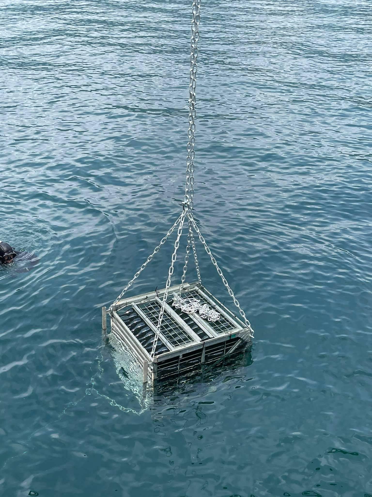 Lo Spumante Dell Oltrep Pavese Affina Nelle Acque Del Lago Di Como