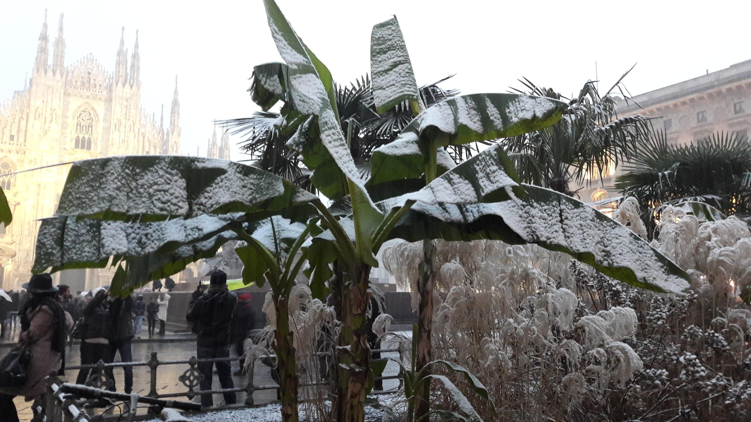 Maltempo in Lombardia è arrivata la neve fiocchi bianchi anche a Milano