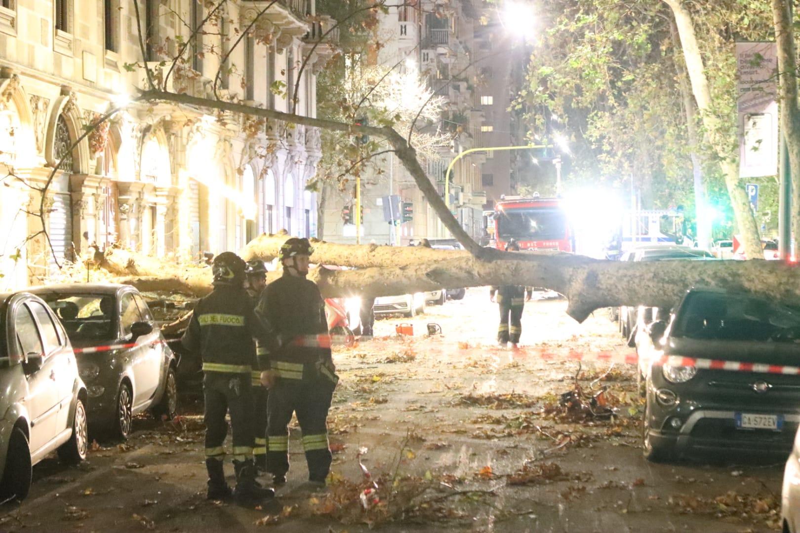 Maltempo A Milano Il Vento Forte Fa Crollare Un Grosso Albero Danni