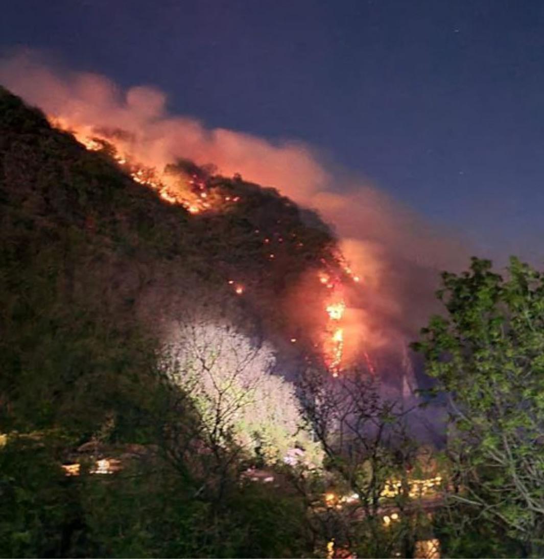 Brucia Il Bosco Di Olgiasca Trenta Ettari Distrutti