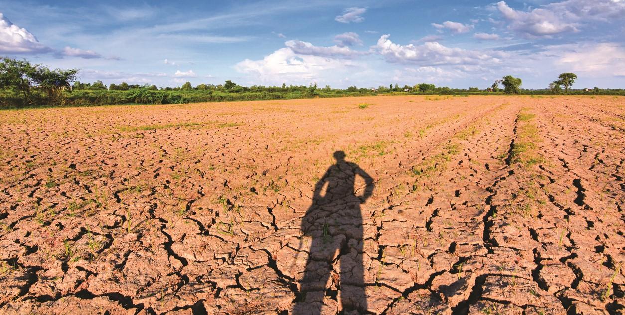 Siccit E Agricoltura Via Alle Semine Ma Senza Acqua Il Raccolto