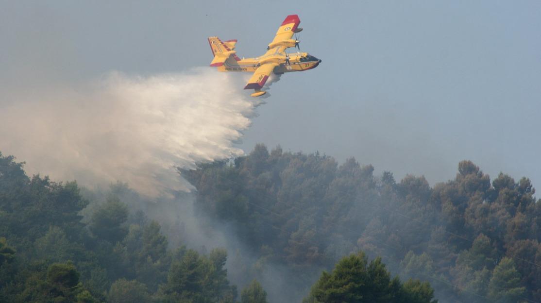 Palazzago Incendio Nei Boschi Intervengono I Canadair