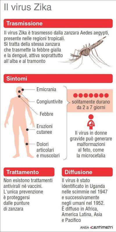 Zika Virus(simile al Dengue )in rapida espansione:allarme per le gravide(correlato a microcefalia nei neonati Image