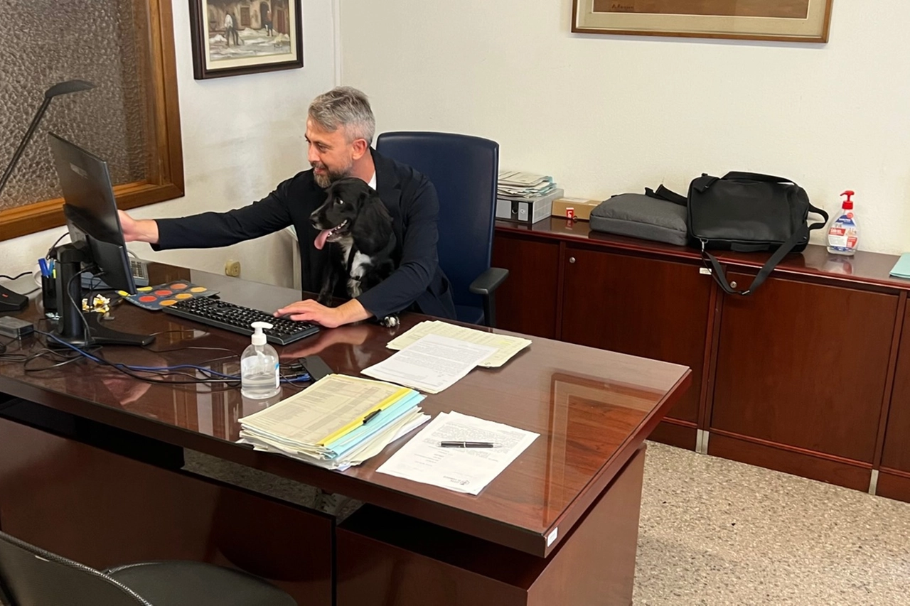 Corsico, in ufficio con il cane