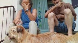 Banca delle visite pet", aiuto alle cure per animali domestici a Legnano e in tutta Italia"
