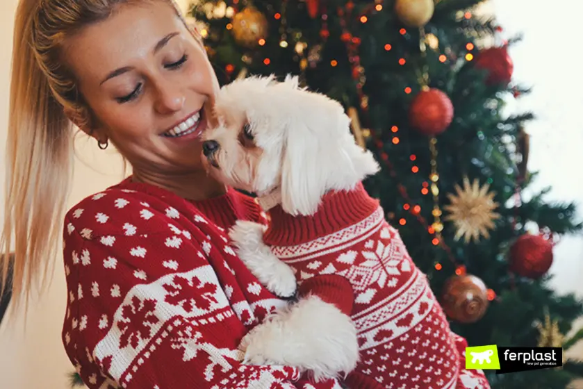 Natale 2022 con il cane, cinque consigli e qualche trucco per renderlo speciale