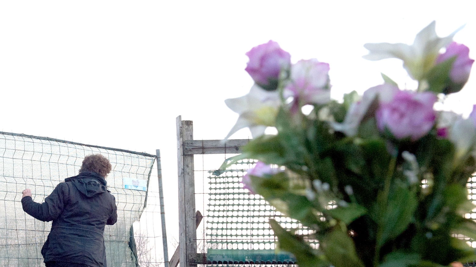 Molti i cimiteri del Nord Milano tempestati dai furti in queste settimane