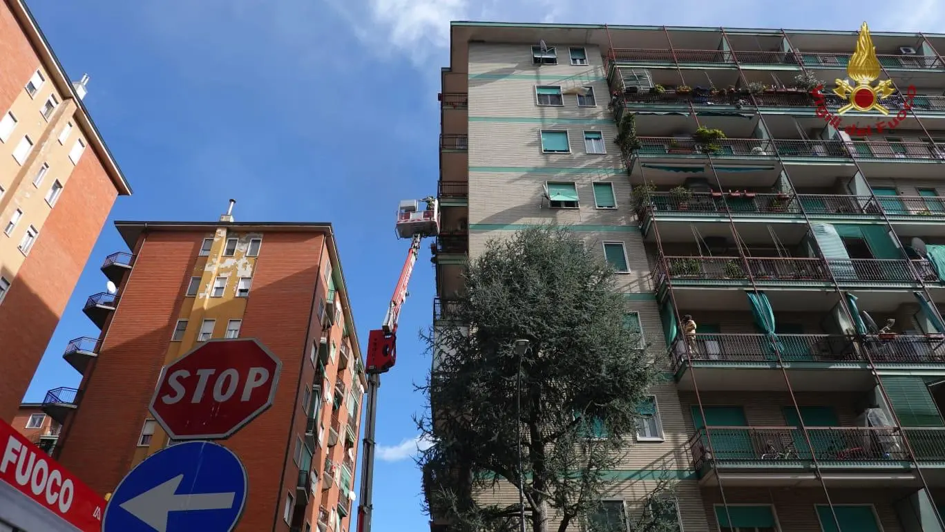 Corsico, cane esce sul davanzale e resta bloccato: salvato dai pompieri al sesto piano