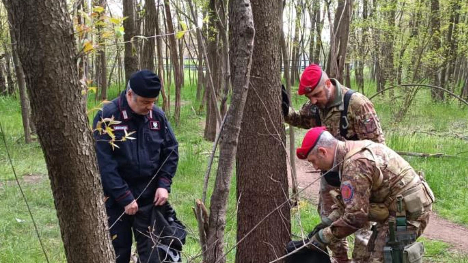 Boschi della droga e spaccio. In manette tre stranieri e un imbianchino legnanese