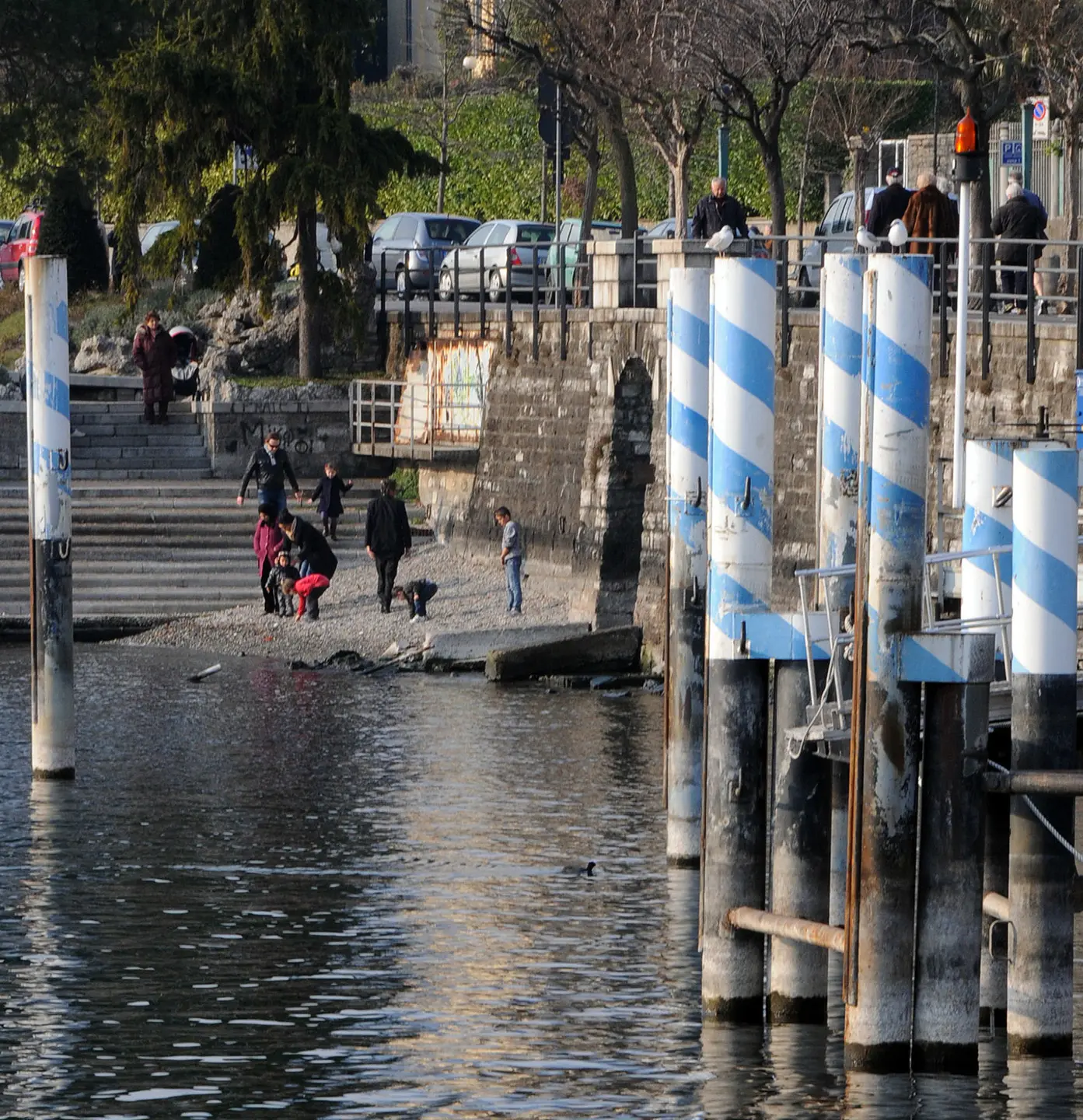 Lago di Como, carenza cronica d’acqua. E l’industria ittica rischia la crisi