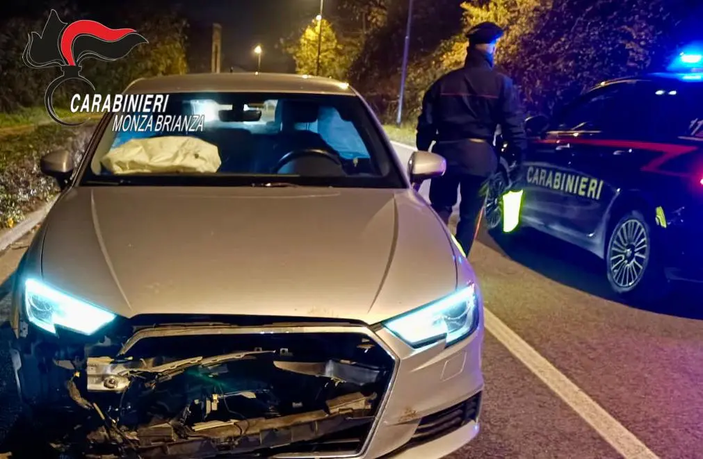 Lazzate, incidente tra auto e cinghiale: 59enne illeso grazie all'airbag