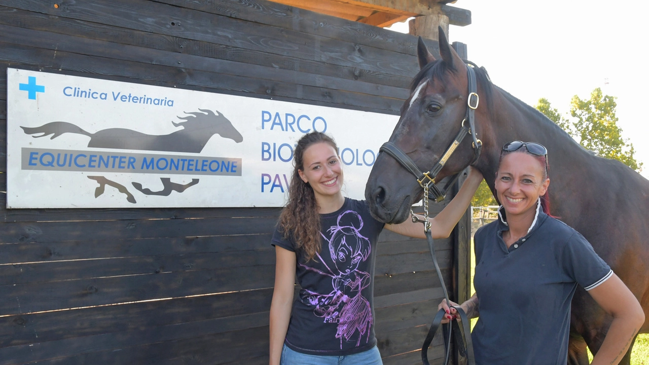 Equicenter, dove nascono i campioni