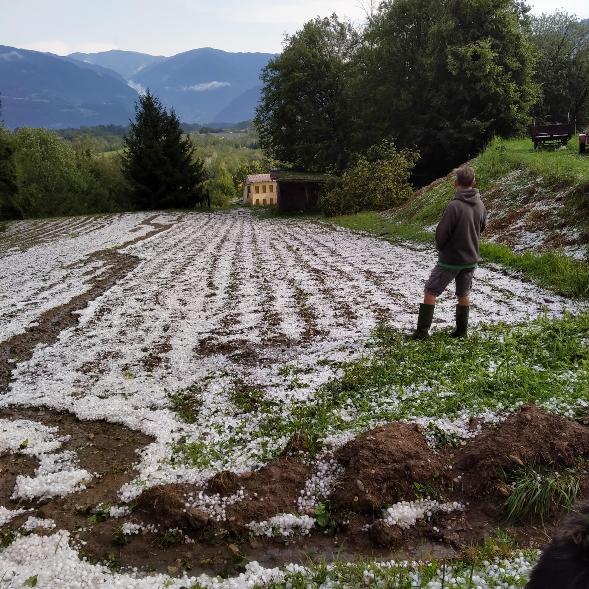 Maltempo Prorogata La Segnalazione Di Danni Alle Aziende Agricole