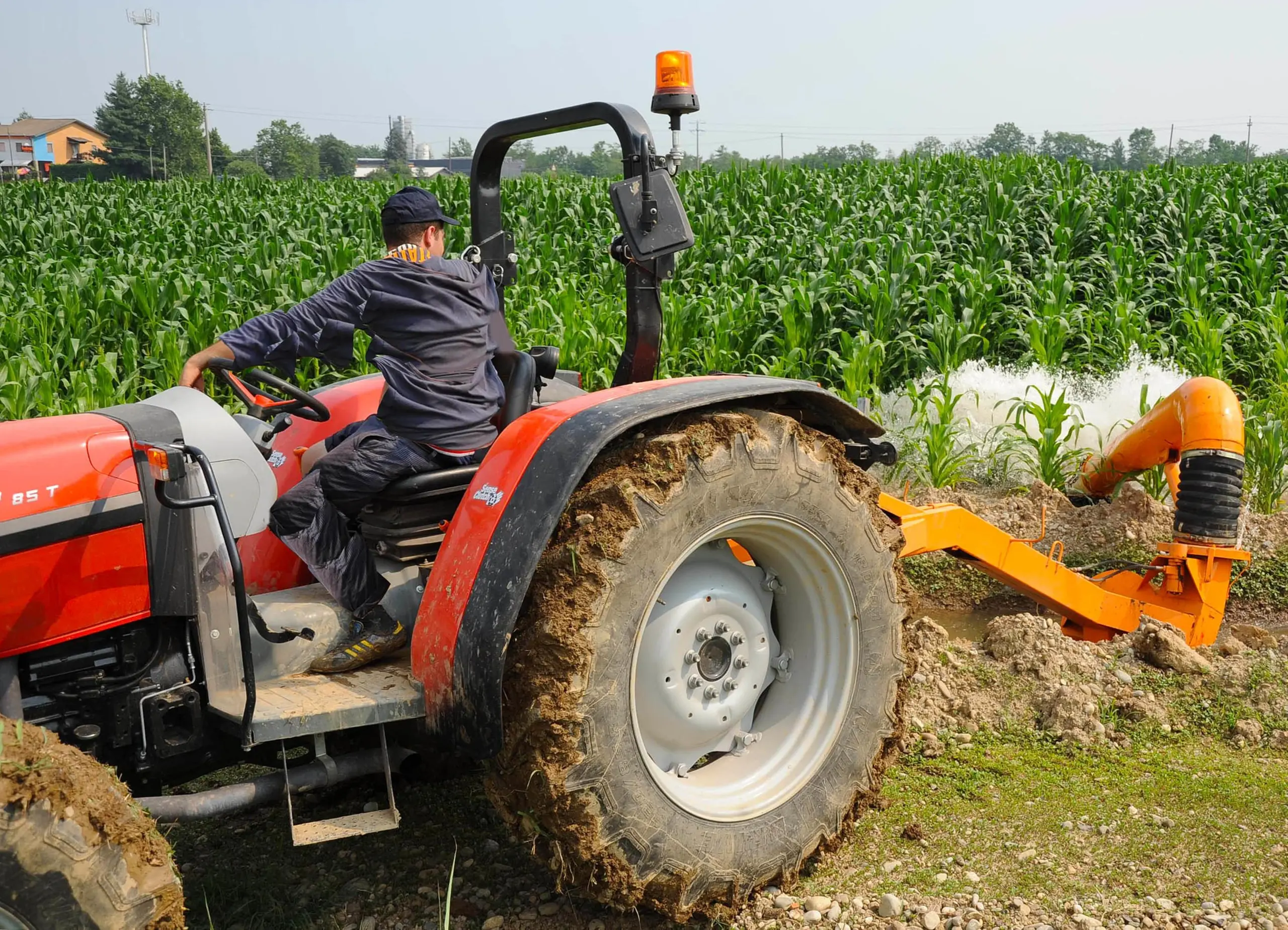 Agricoltura, arrivano i risarcimenti