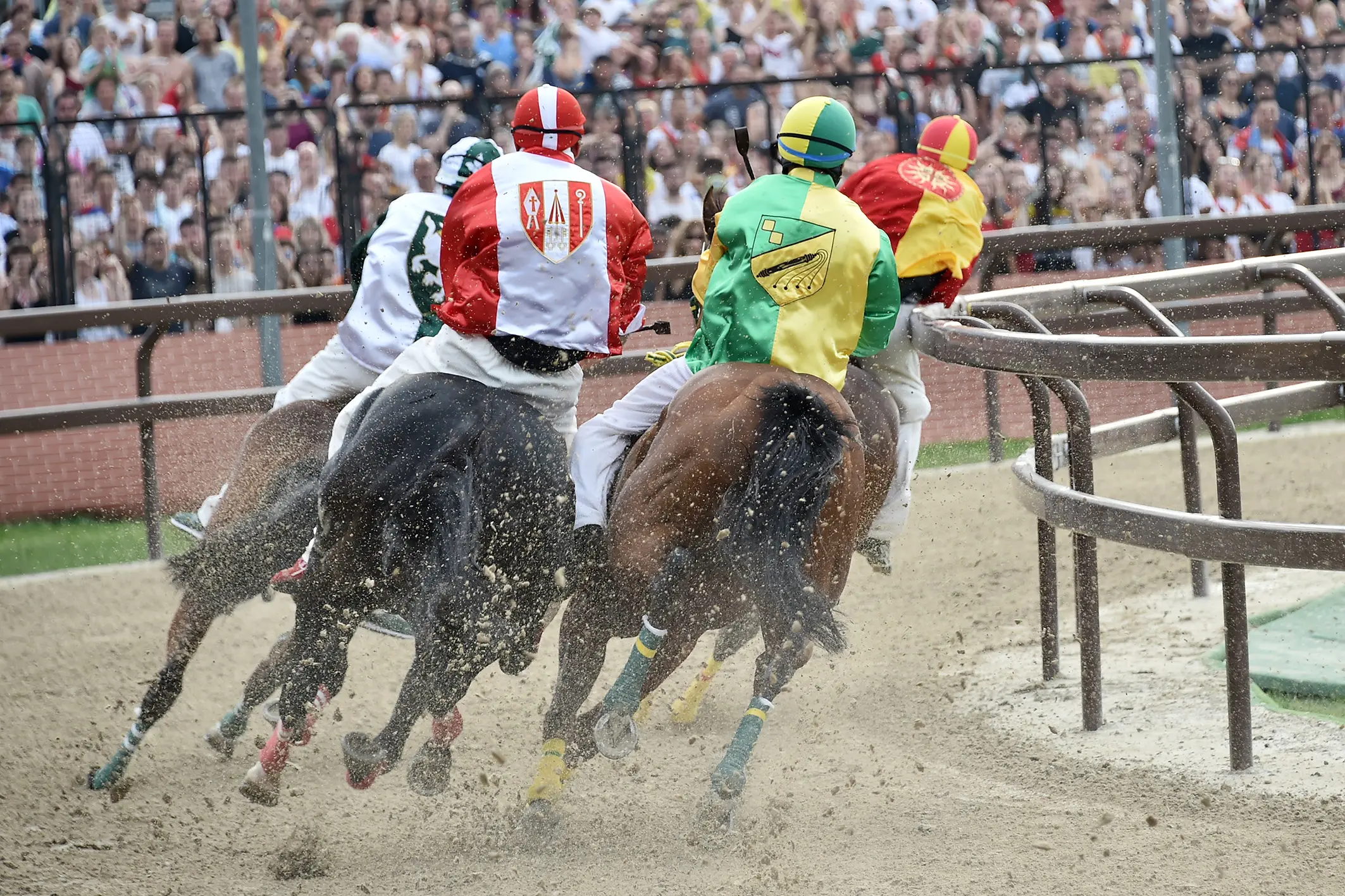 Palio di Legnano, cavalli e fantini della corsa ippica