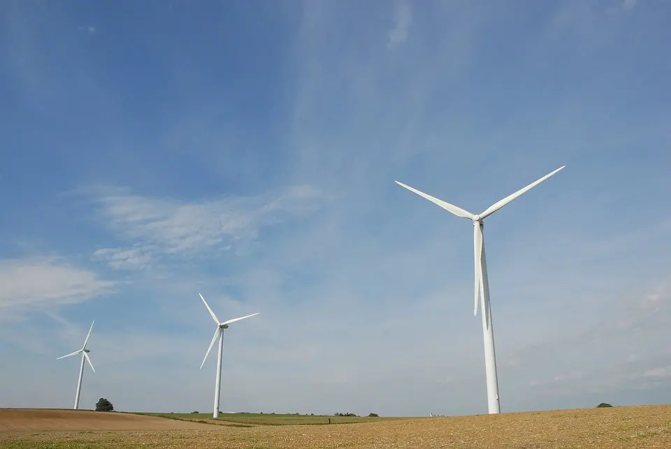 Imprese, la svolta green rende: "Chi investe in ambiente guadagna di più e crea lavoro"