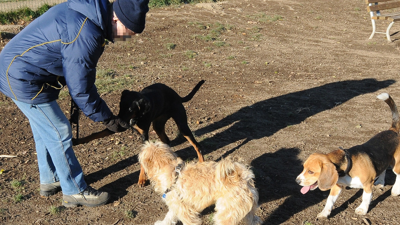 Un’immagine genercica dell’area  cani del parco Castello di Legnano teatro nei giorni scorsi dell’episodio