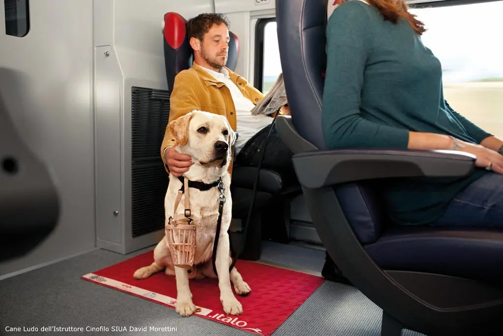 Animali in treno, Italo raddoppia i posti