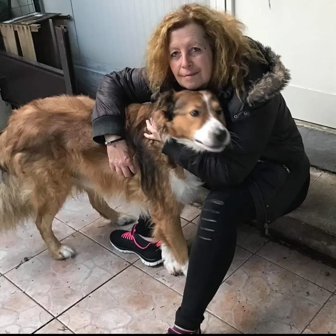 Pesaro, terribile incidente sulla A14. Tre vittime tra cui una nota animalista