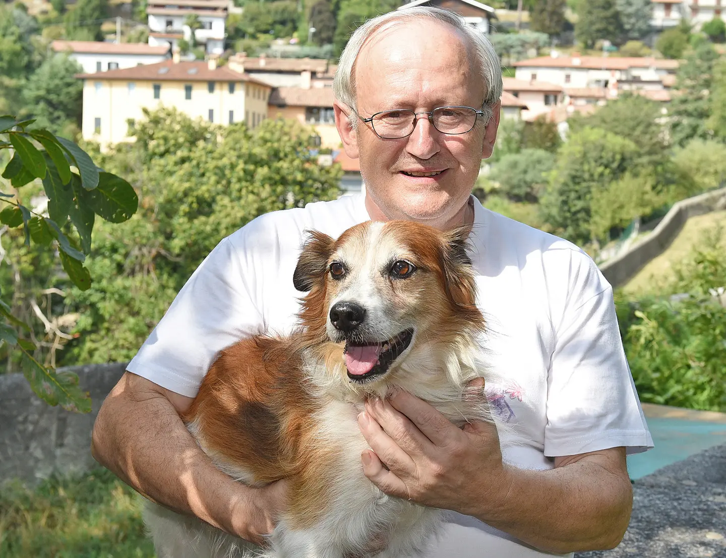 Batan, cagnolino coraggioso cerca il padrone per un mese