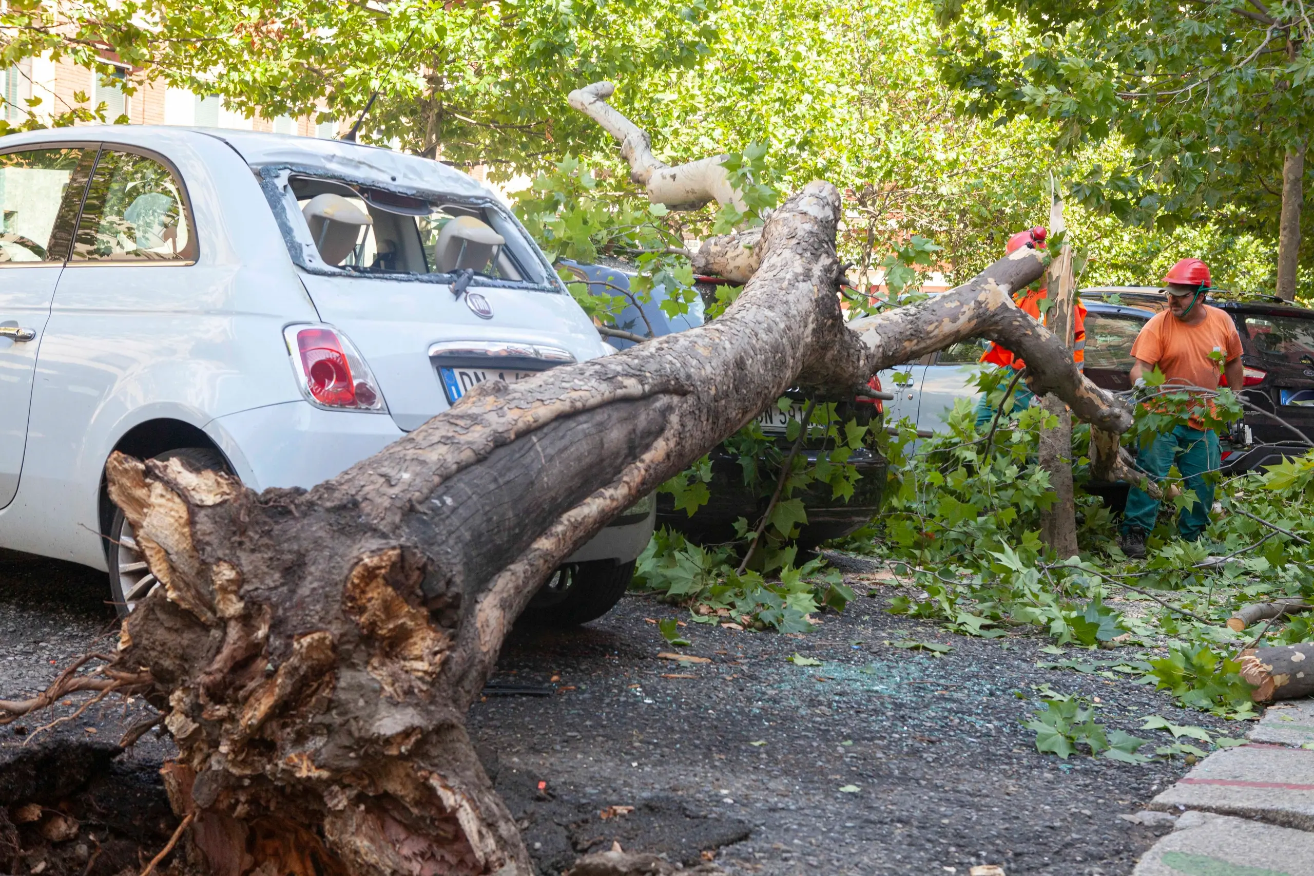 Maltempo a Milano: vento, grandine e alberi abbattuti