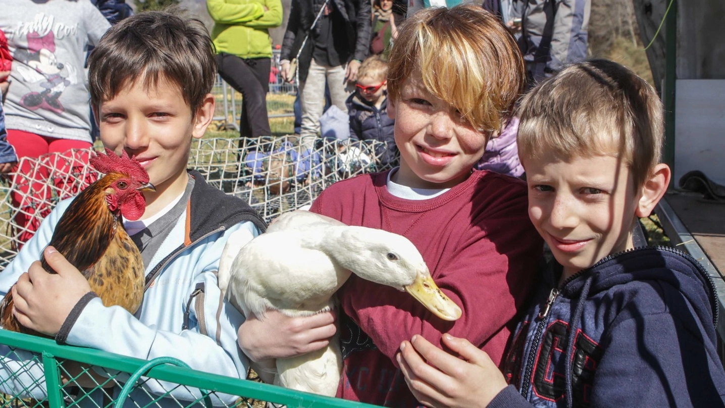 Piccoli spettatori alla mostra zootecnica (National Press)