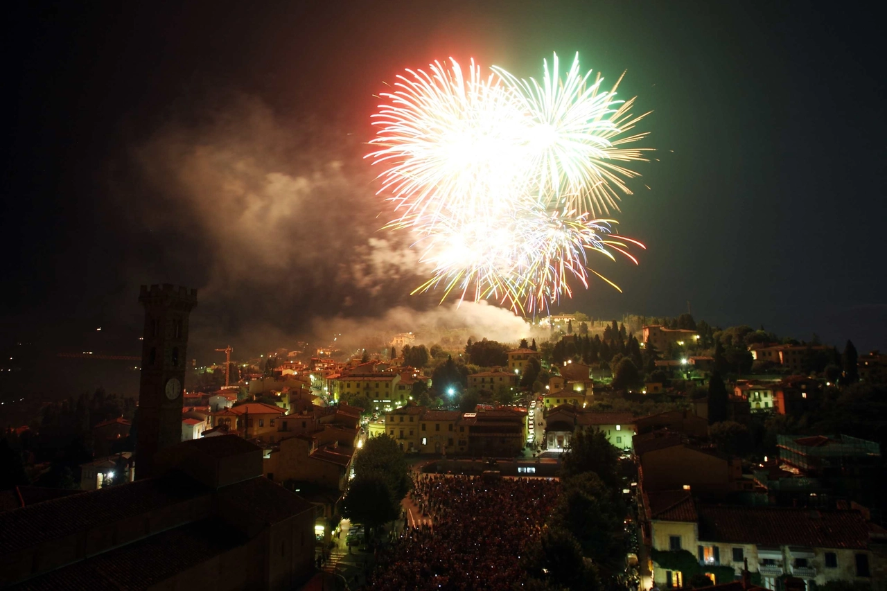 Fuochi d'artificio in una foto Germogli