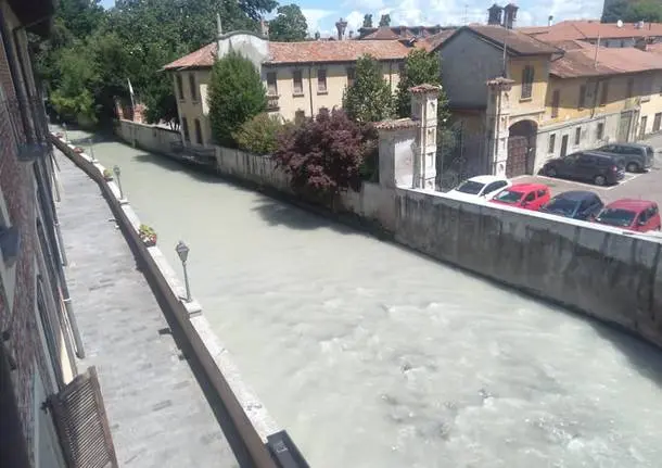 Il fiume Olona si tinge di verde a Nerviano: ecco cos'è successo