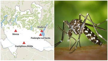 Febbre Dengue in Lombardia: casi accertati o sospetti nelle province di Lodi, Crema, Monza e Brescia