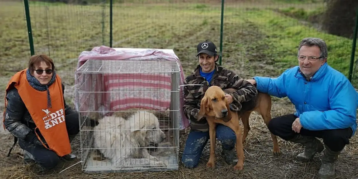 Breme, la seconda vita di Barnaba: da randagio a First Dog