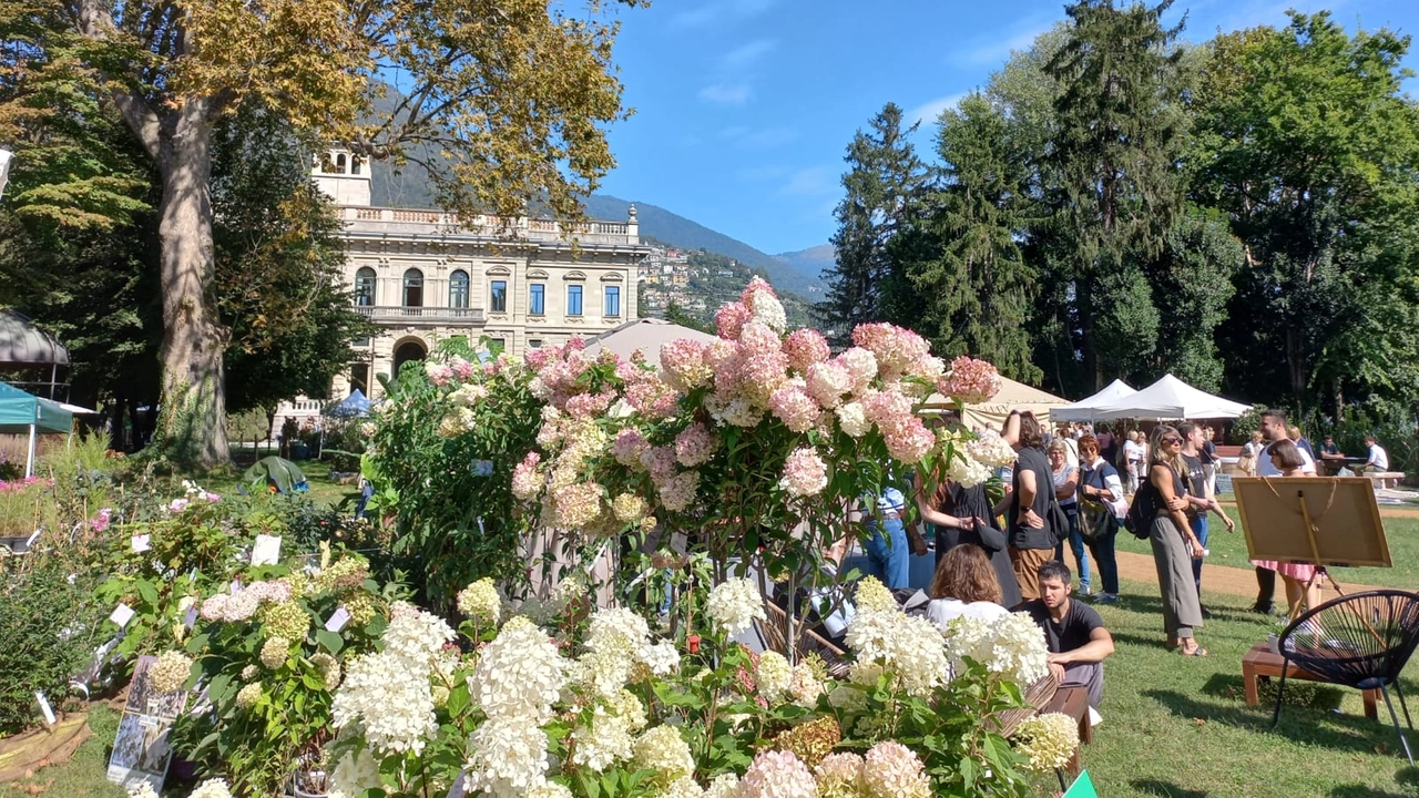 Cernobbio: lo spettacolo floreale di Orticolario in scena fino a domenica