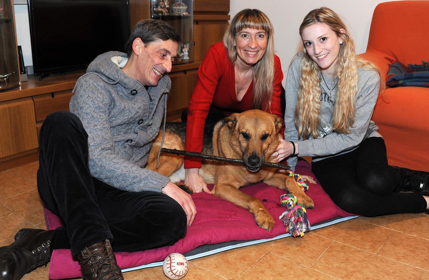 Santo Stefano Ticino, famiglia adotta cane abbandonato: 