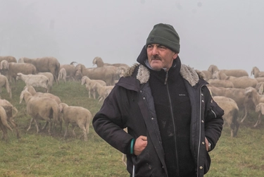 Giuseppe Salvi, il pastore e le sue 800 pecore: “Dalle Orobie fino a Milano. La lana? Non vale più nulla e i lupi fanno paura”