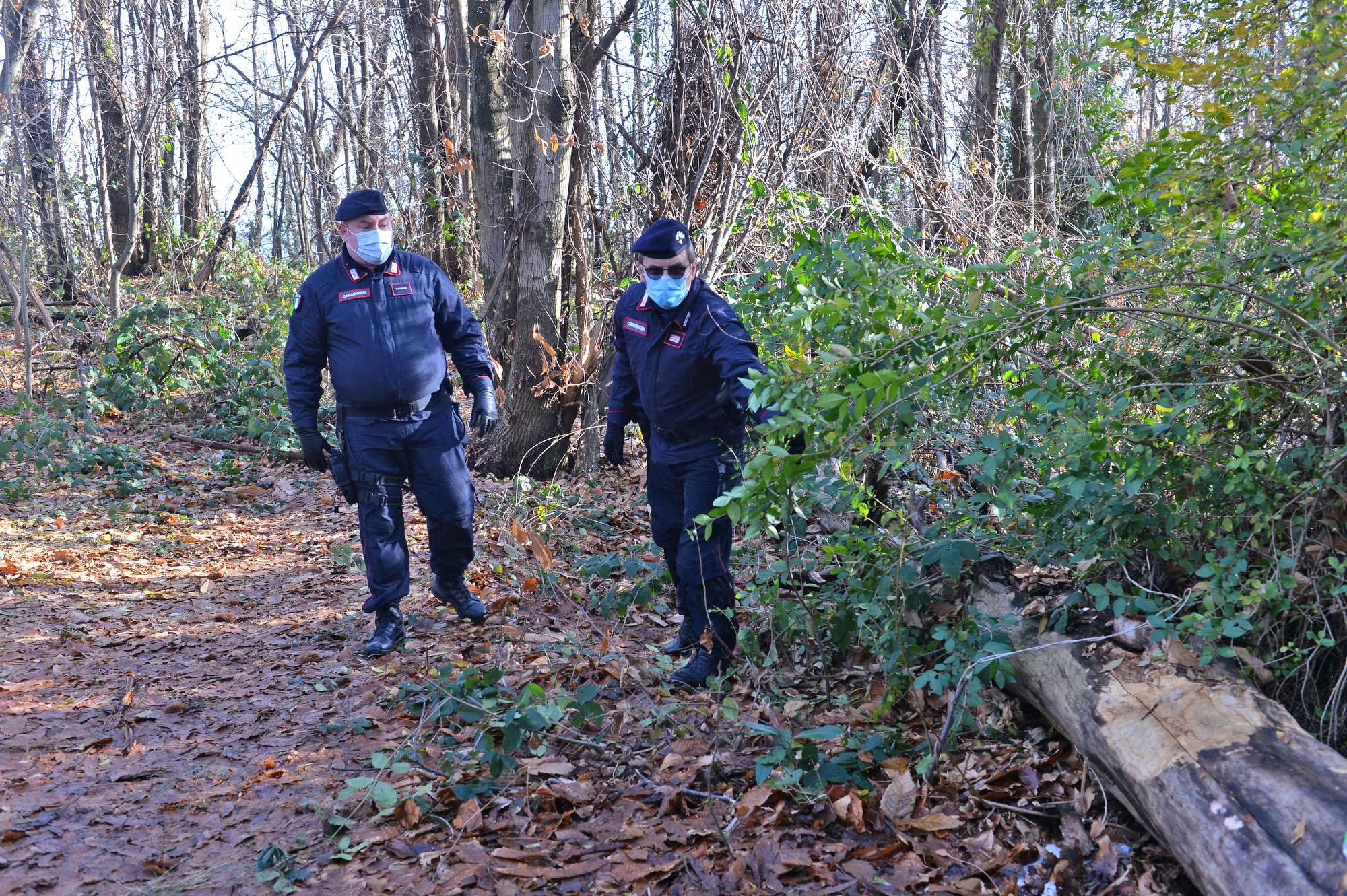 Spaccio Di Droga Nei Boschi Del Varesotto Tre Arresti