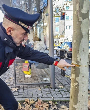 Tendono cavo d’acciaio in strada. Arrestato un 24enne per strage: "Era un gioco, ci annoiavamo"