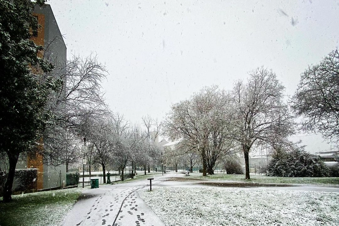 La neve in un parchetto di Brescia