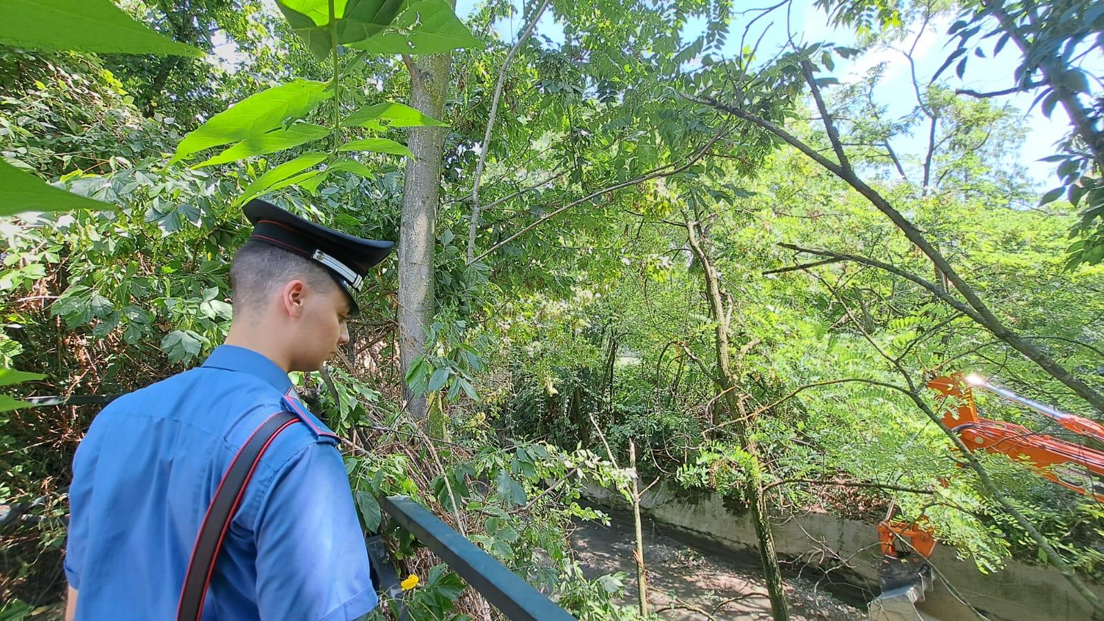 Milano Trovato Un Cadavere Nel Lambro Meridionale Era Denutrito E Ha